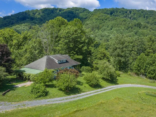 120 Teaberry Rd, Roan Mountain, TN 37687