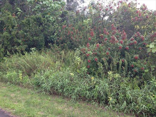 1st image of Kaiwa St Lot 182