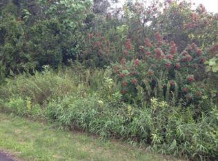 Kaiwa St LOT 182, Pahoa, HI 96778