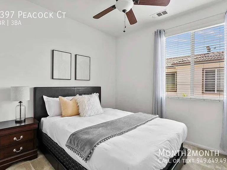 6397 Peacock Ct — Photo 13