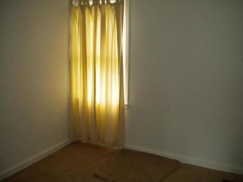 5th image of 315 4th Ave NE