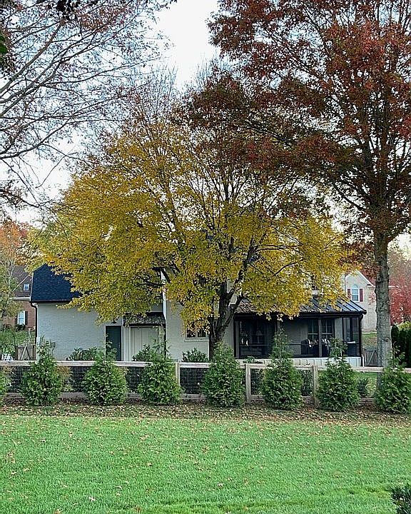 2nd image of 11512 Ivy Chase Ln