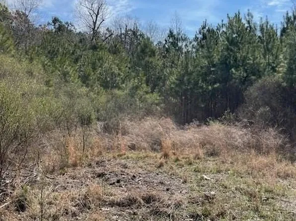 121AC Nansemond Pkwy, Suffolk, VA 23435