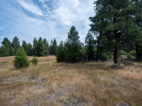 51596 Dorrance Meadow Rd, La Pine, OR 97739