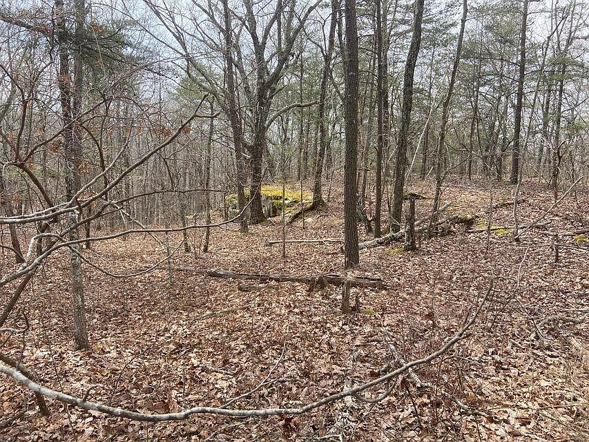 1st image of 0 E Ridge Rd Lot 603