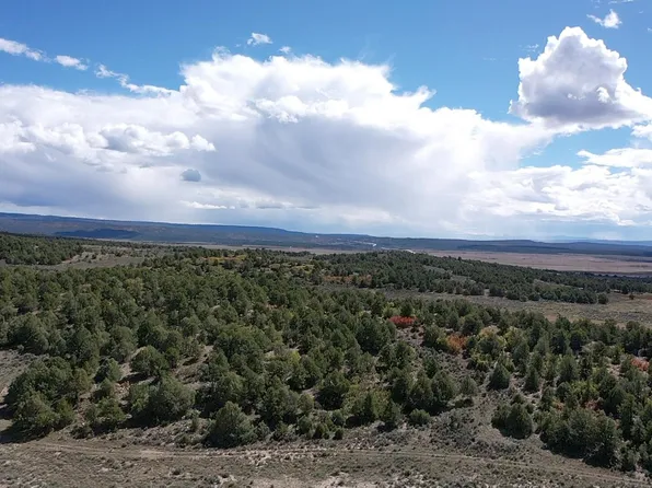 S And West Rnch, Tierra Amarilla, NM 87575