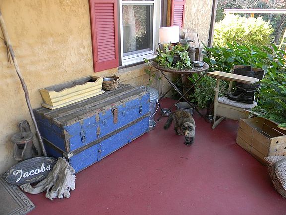 charming red shutters