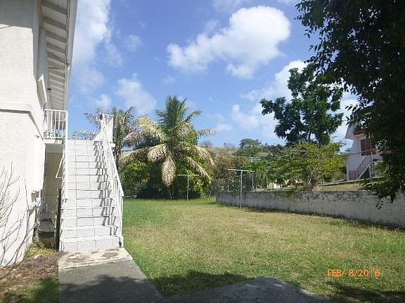 Fenced Backyard