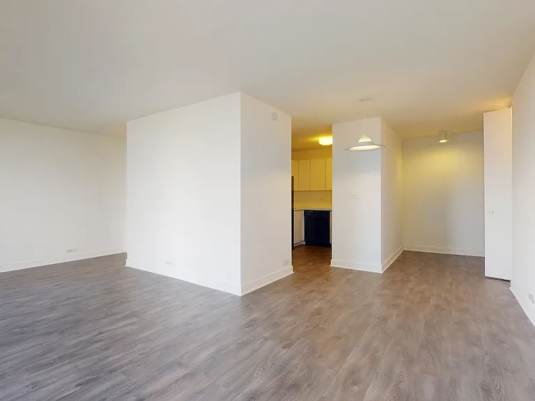 Dining/Living room