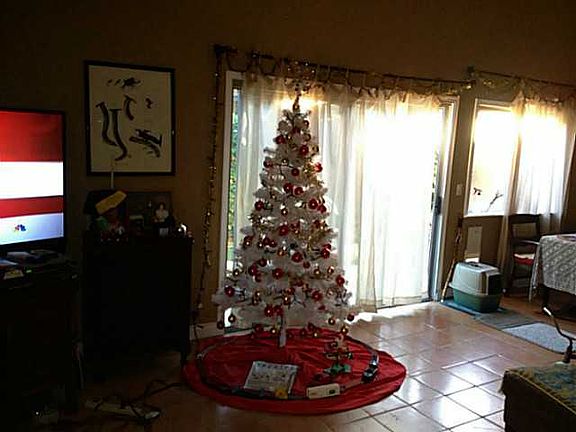 3rd image of 449 Los Arbolitos Blvd