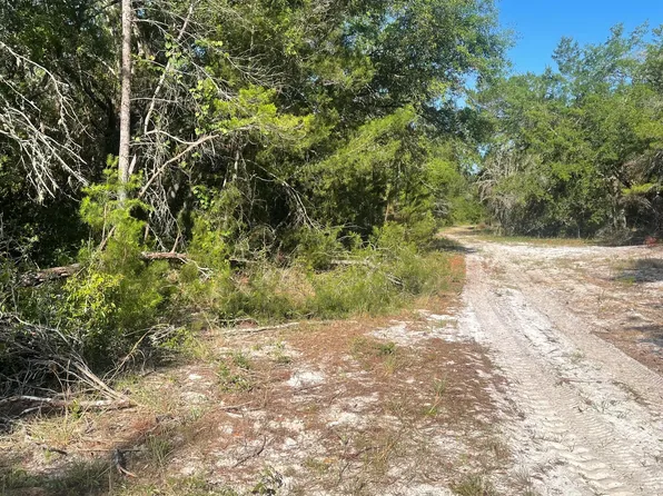 117 WAITES Drive, Florahome, FL 32140