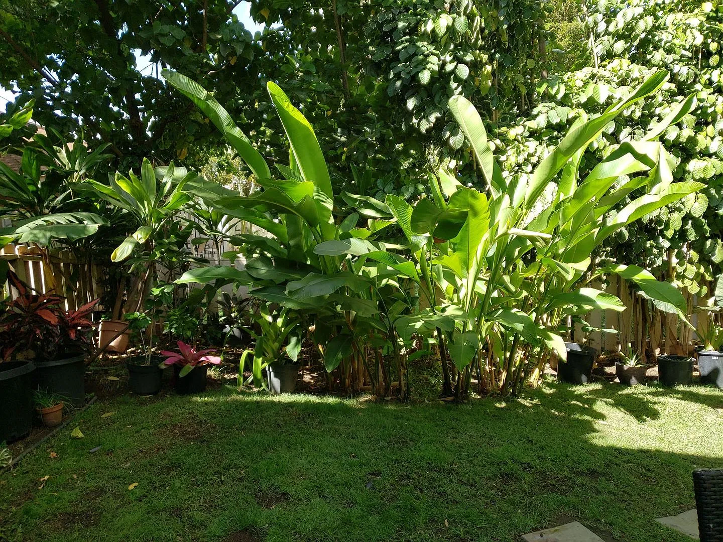 Kihei Villages ground floor unit with large yard and 2 parking stalls. Avail. Sept. 1st. — Photo 2
