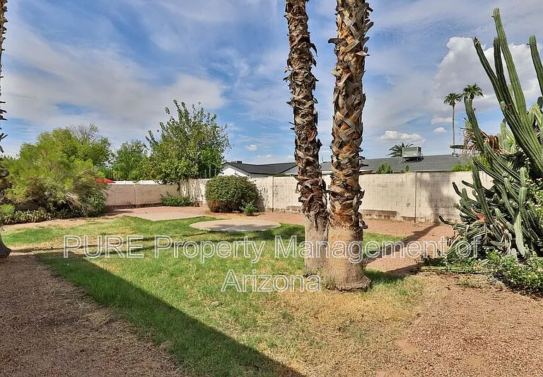 8838 E Cortez St — Photo 21