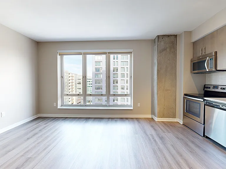 Apartment living room with wood-style flooring.