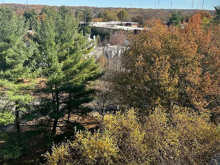 1600 Hagys Ford Rd #9M — Photo 17