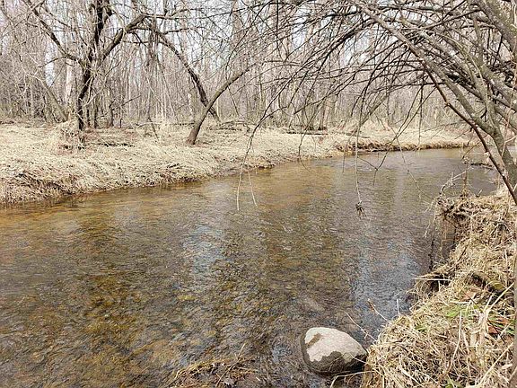 3rd image of Bialozynski Rd #1