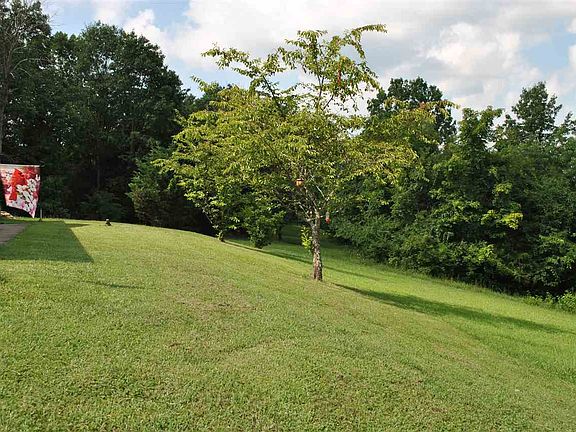 5th image of 250 Laura Ln