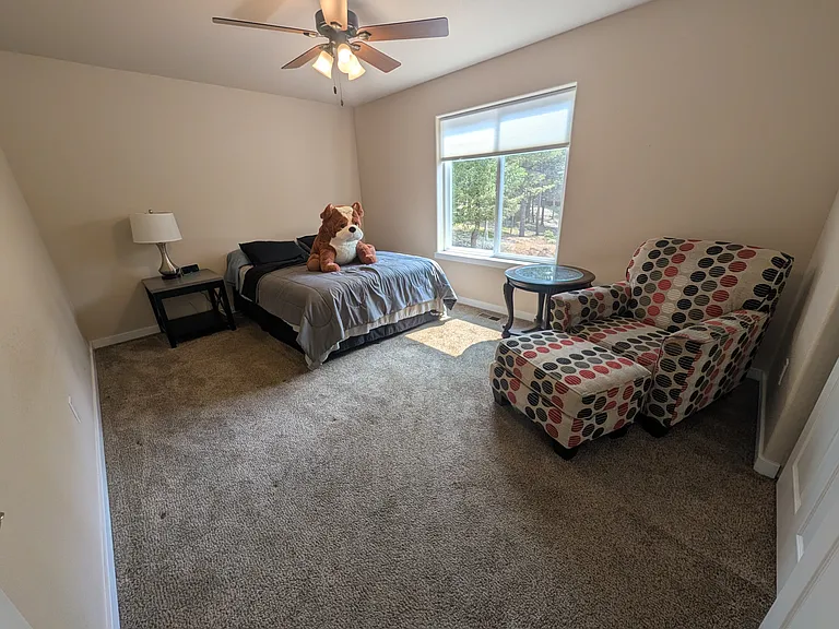 71 Mount Elbert Dr — Photo 19