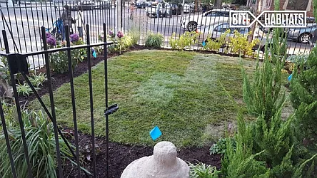 Rented by Citi Habitats