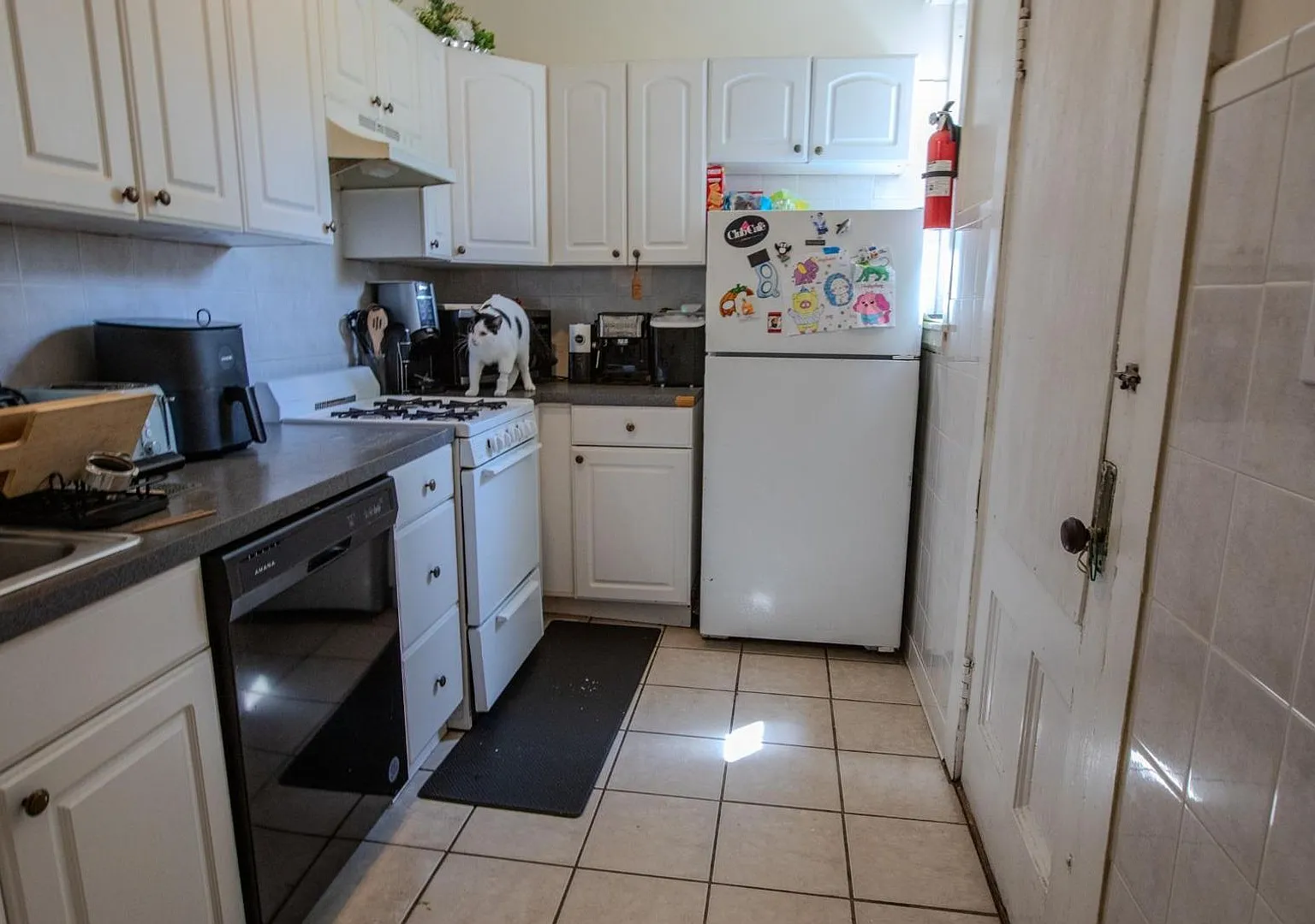 4 Bed, 1 Bath - Two Months Free - Steps From Boston University (Bu) And Coolidge Corner — Photo 2