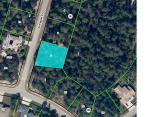 4 Alyssum Ct, Homosassa, FL 34446