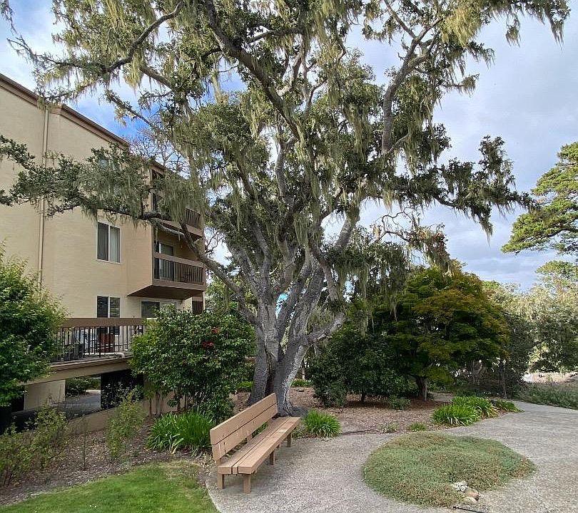 1st image of 4303 Golden Oaks Ln