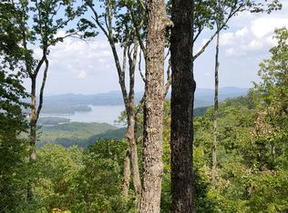 917 Ripshin Mountain Rd, Blue Ridge, GA 30513