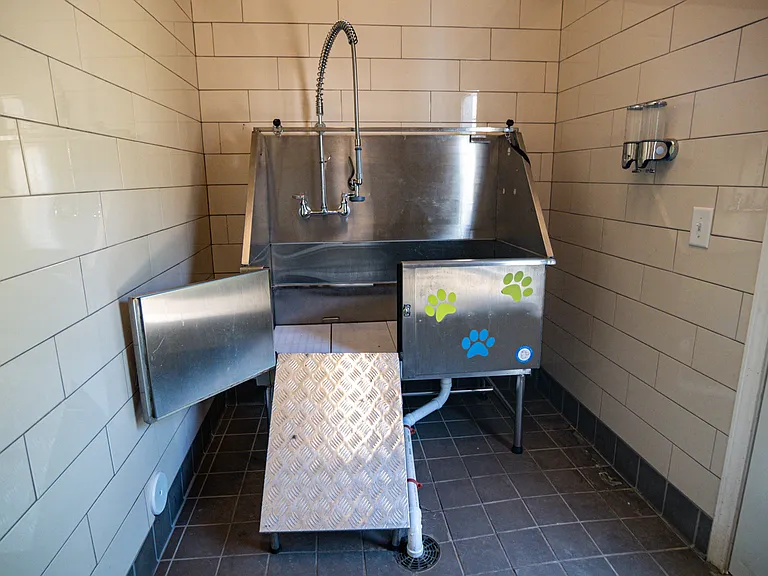 Pet Wash at Millis and Main in Jamestown, NC