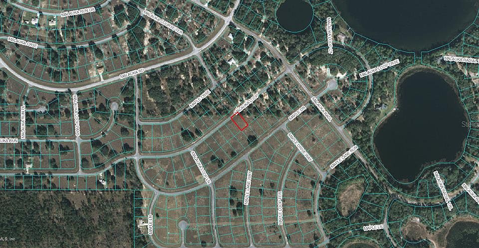1st image of 00 Malauka Loop Loop