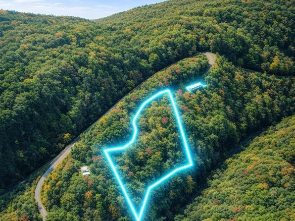 0 Laurel Branch Dr, Chimney Rock, NC 28720