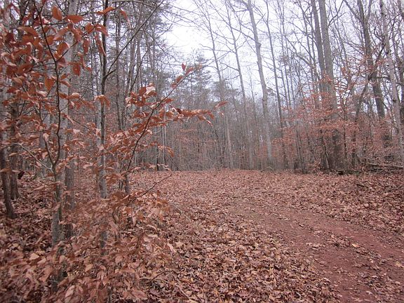 3rd image of 0 Parkside Acres Ln #6