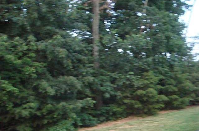 1st image of 109 Garnet Ct