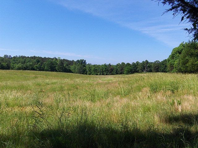 2nd image of 2505 Augusta Hwy