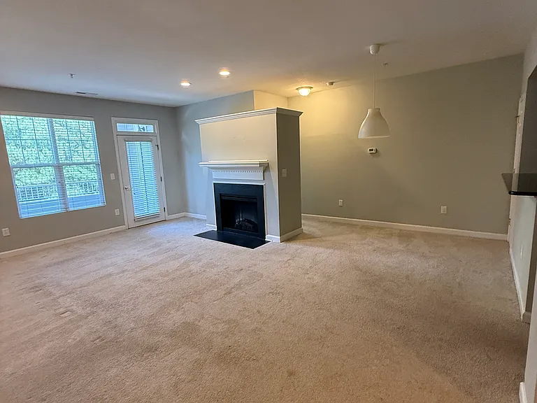 223 Eyam Hall Ln #223 — Photo 3