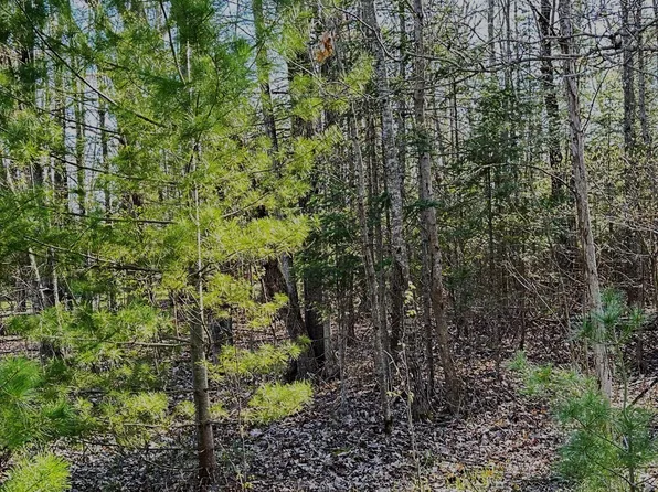 301 Winyah Dr, Alpena, MI 49707