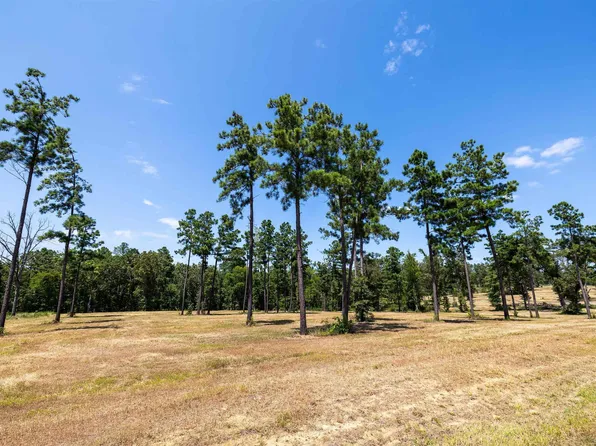 15756 Aniston Ln Lot 23, Flint, TX 75762