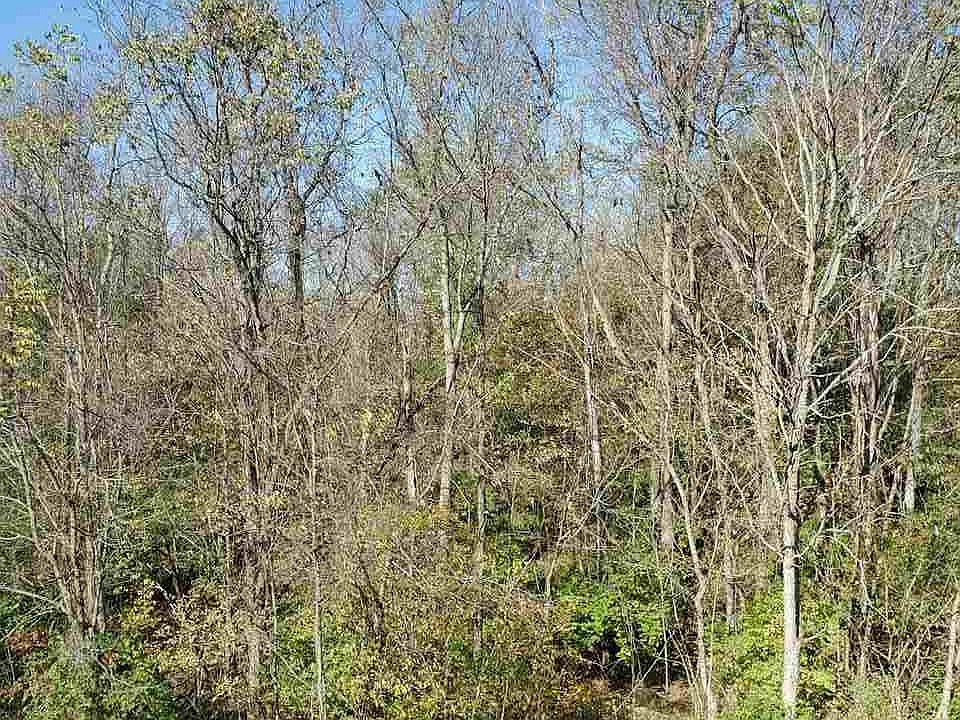 2nd image of 112 Ashley Dr