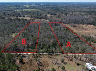 0 140th St #A, Wellborn, FL 32094