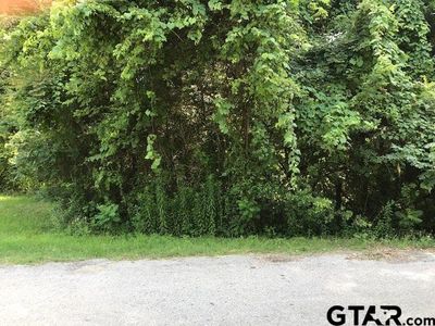 Tbd Cr 4844, Mount Pleasant, TX, 75455