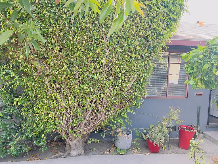 4247 S Centinela Ave #4249 — Photo 5