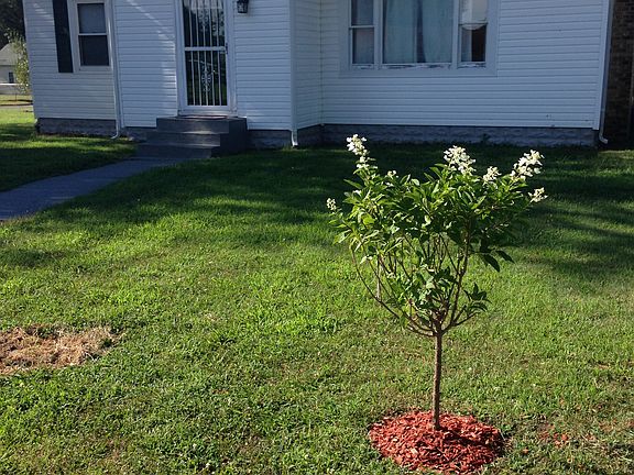 4th image of 1510 Lee Ave