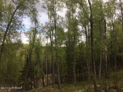 41081 Sutherlin Rd, Soldotna, AK, 99669