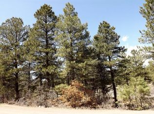 96 Heather Pl, Pagosa Springs, CO 81147