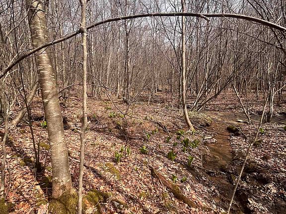 5th image of Sugar Valley Rd