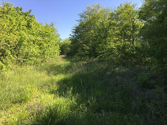 Beautiful landscape!