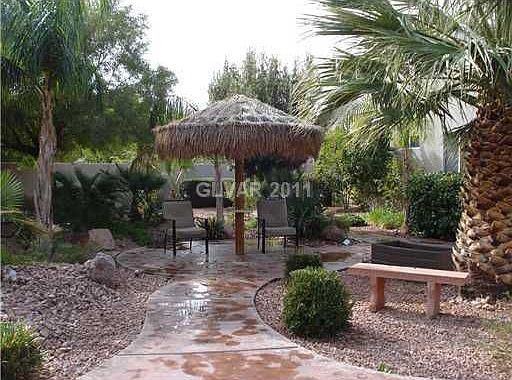 BACK YARD PARADISE