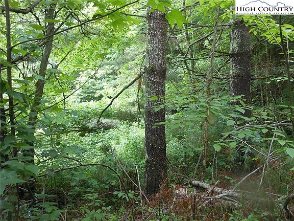 4th image of Lot 32 Leaning Pine Drive