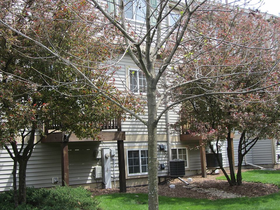 143 Monarch Dr, Streamwood, IL 60107 Zillow