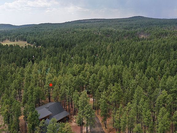 4th image of 395 W Lazy Pine Ln