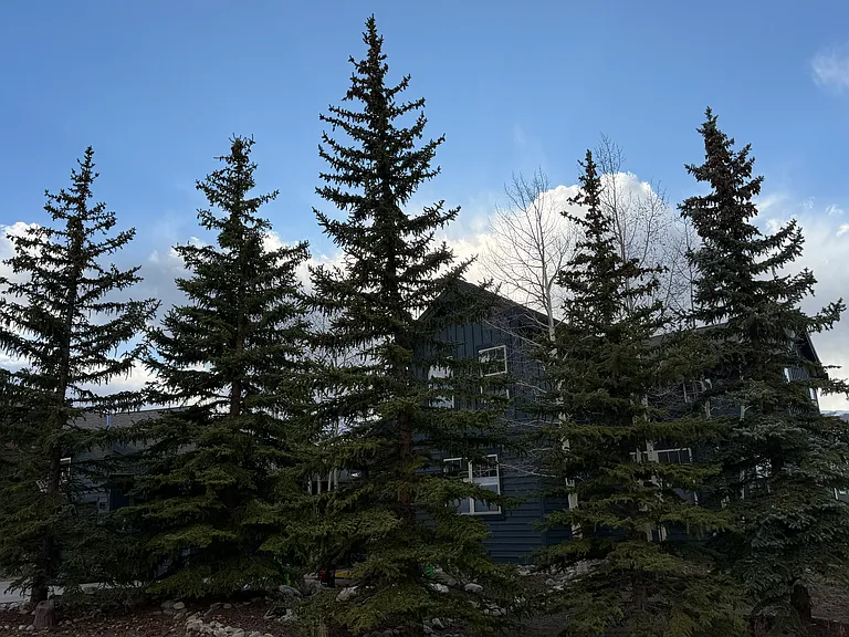 52 Rachel Ln — Photo 2